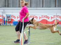 Imaxe da proba de agility