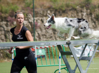 Imaxe da proba de agility