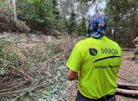 Comezan os traballos de limpeza subsidiaria en parcelas incluídas na rede de faixas secundarias para protexer ás persoas e bens de posibles lumes forestais