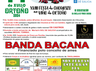 A Banda Bacana actuará o 14 de xullo na XVIII edición da Festa do Chourizo ao Viño en Ortoño