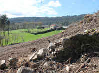 Plántanse 180 árbores frondosas en Cruxeiras a través da sétima fase do plan municipal de prevención de incendios forestais