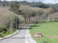 Plántanse 180 árbores frondosas en Cruxeiras a través da sétima fase do plan municipal de prevención de incendios forestais