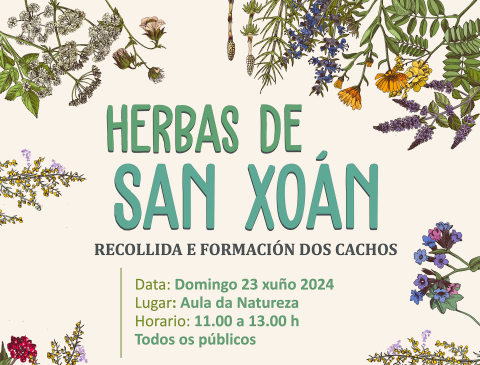 A Aula da Natureza organiza unha saída para recoller as herbas de San Xoan