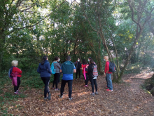 Boa acollida da saída micolóxica organizada pola Aula da Natureza