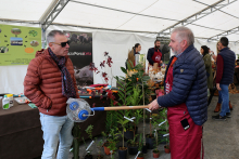 A II edición da Feira do monte bateu récords de participación