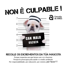 O departamento de Medio Ambiente lanza unha nova campaña de sensibilización sobre o abandono de excrementos nas rúas